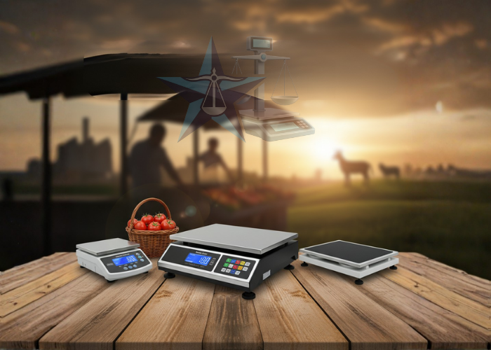 Yıldız Terazi'den Sektörel Bakış